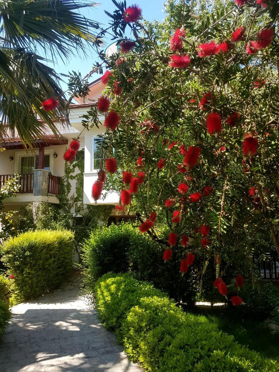 Hotel Dalos Göcek Extérieur photo